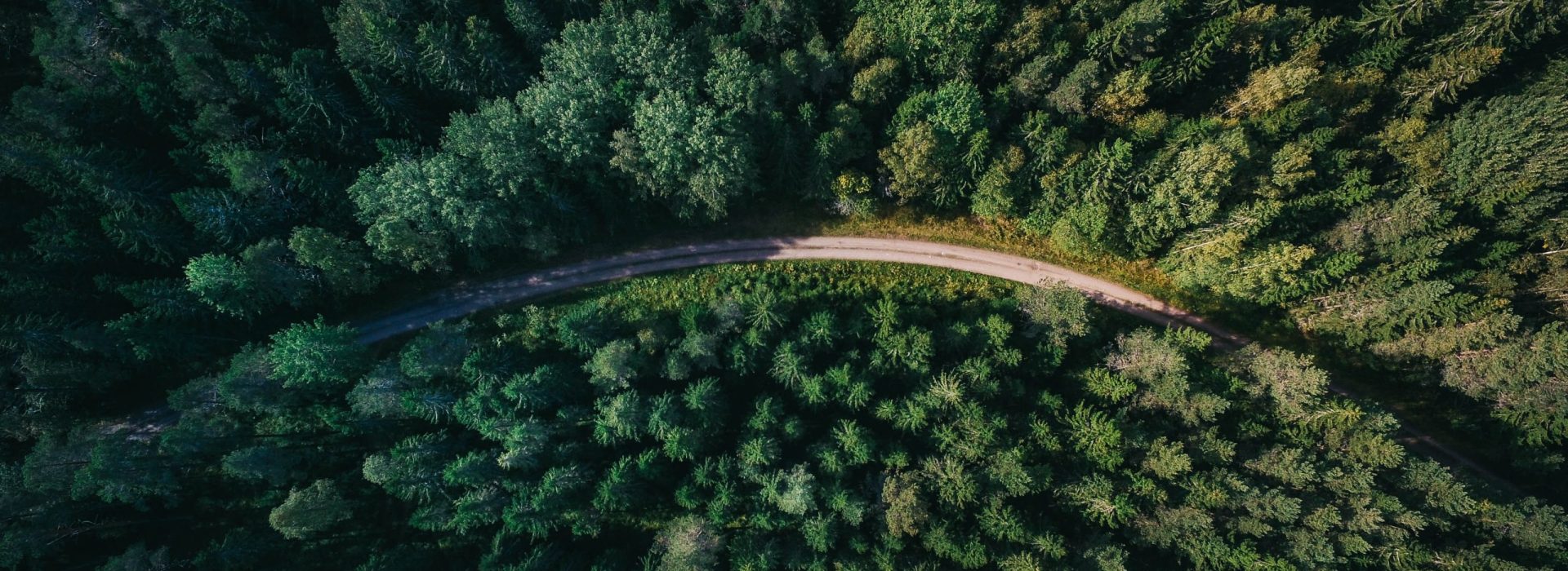 geran-de-klerk-qzgN45hseN0-unsplash geran-de-klerk-qzgN45hseN0-unsplash